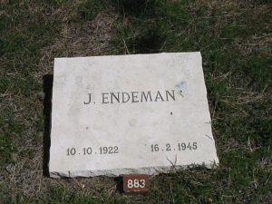 Endeman, Johan